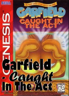 Box art for Garfield - Caught In The Act