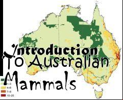 Box art for Introduction To Australian Mammals
