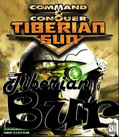 Box art for Tiberian Burn